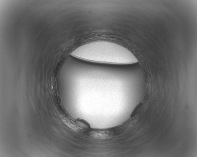 X0000080190567200612081203