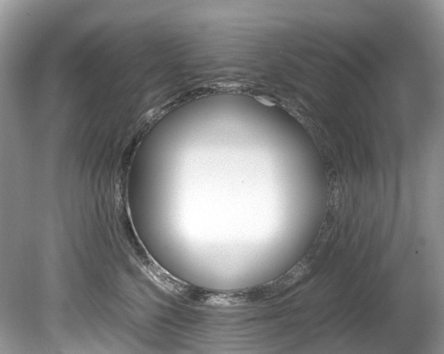 X0000080190568200612081203
