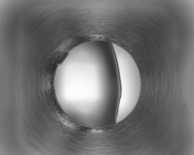 X0000080190570200612081203