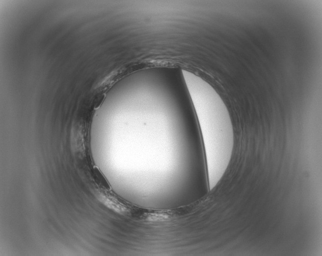 X0000080190572200612081203