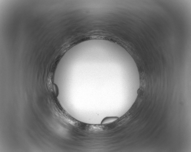 X0000080190573200612081203
