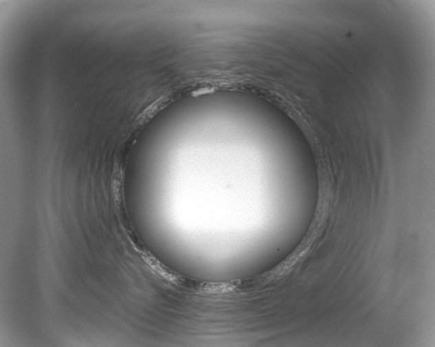 X0000080190576200612081203