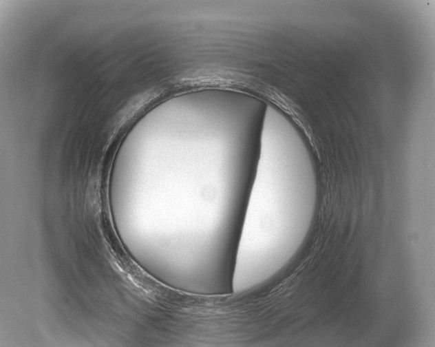 X0000080190578200612081202