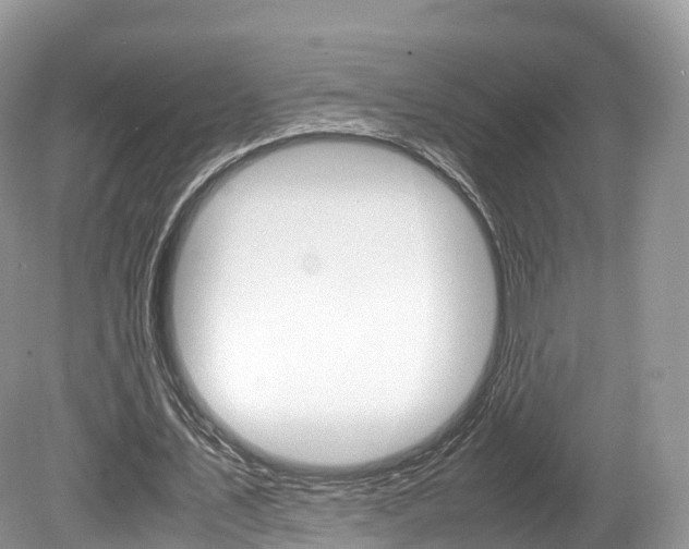 X0000080190579200612081202