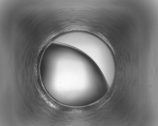 X0000080190581200612081202