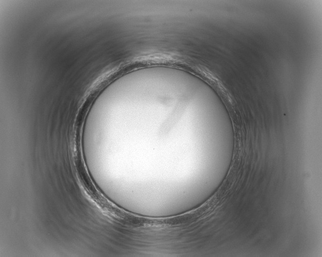 X0000080190582200612081202