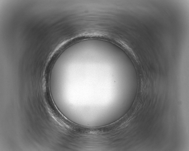 X0000080190584200612081202