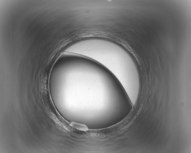 X0000080190585200612081202