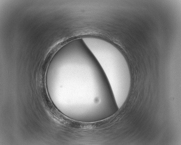 X0000080190587200612081202