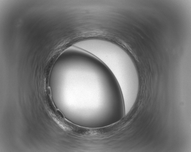 X0000080190589200612081202