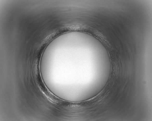 X0000080190590200612081202