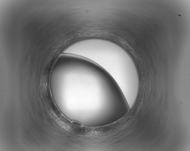 X0000080190593200612081202