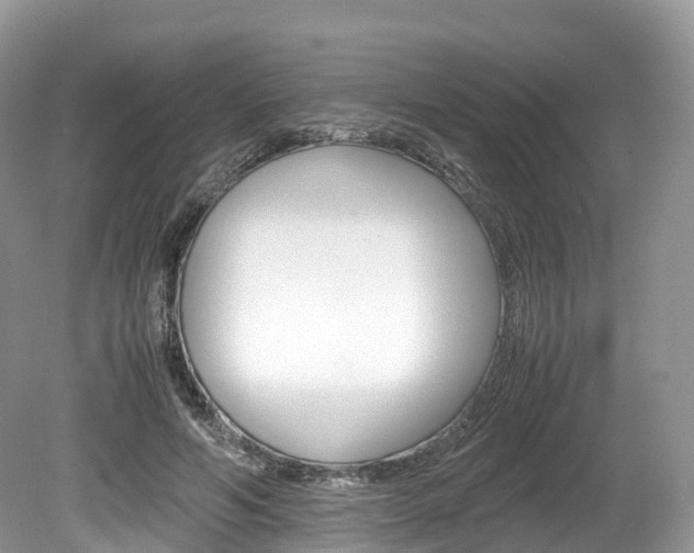 X0000080190594200612081202
