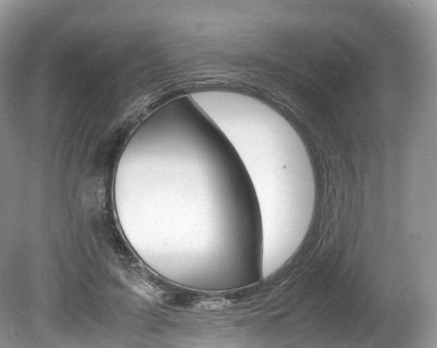 X0000080190595200612081202