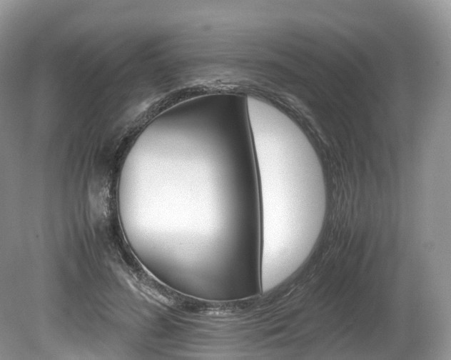 X0000080190596200612081202