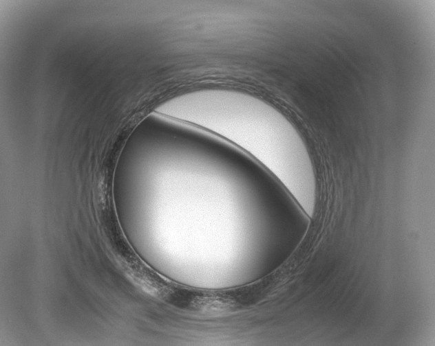 X0000080190597200612081202