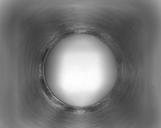 X0000080190598200612081202