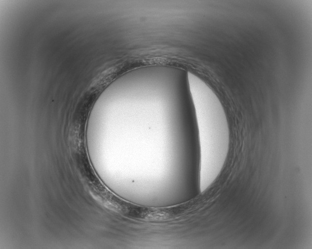 X0000080190599200612081202