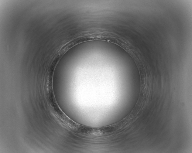 X0000080190600200612081202