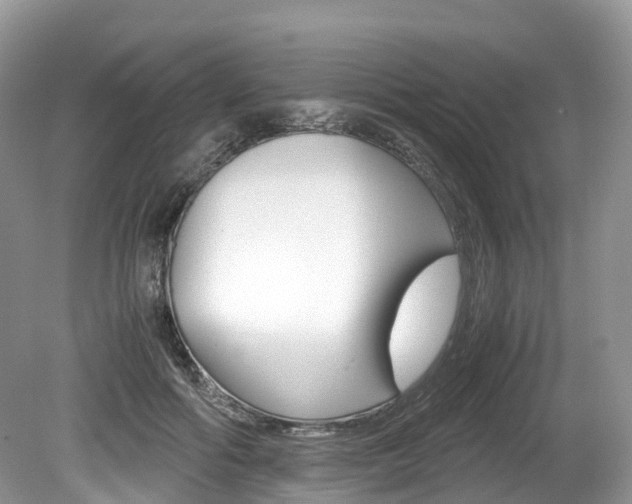 X0000080190602200612081202