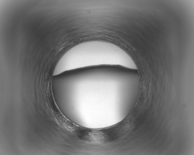 X0000080190603200612081202