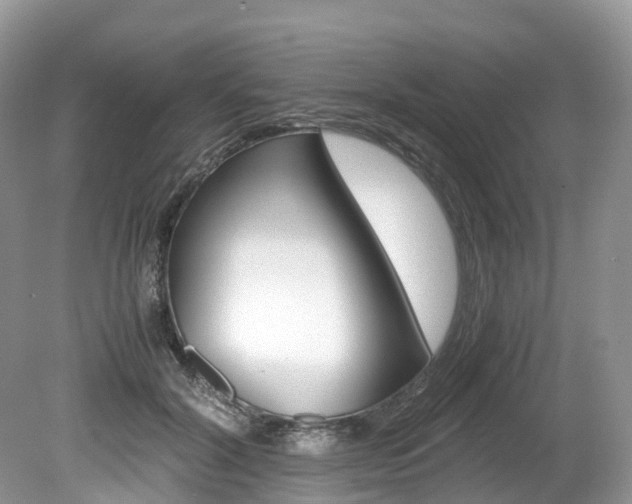 X0000080190604200612081202