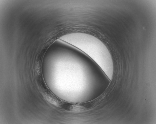 X0000080190605200612081202