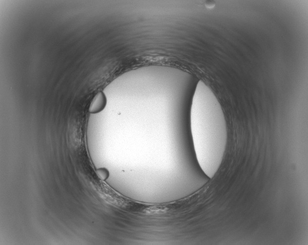 X0000080190606200612081202