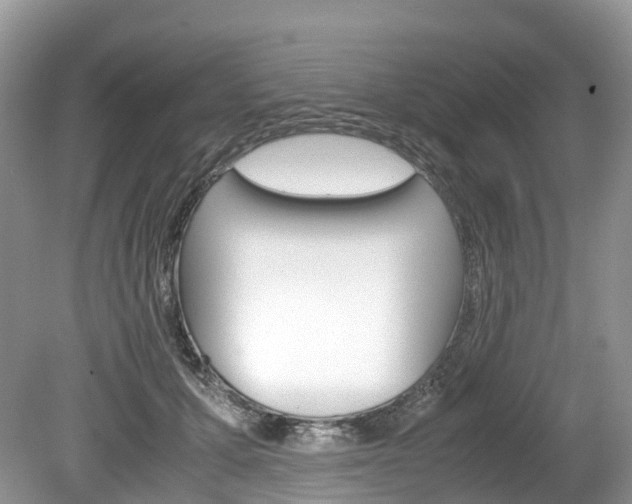 X0000080190607200612081202