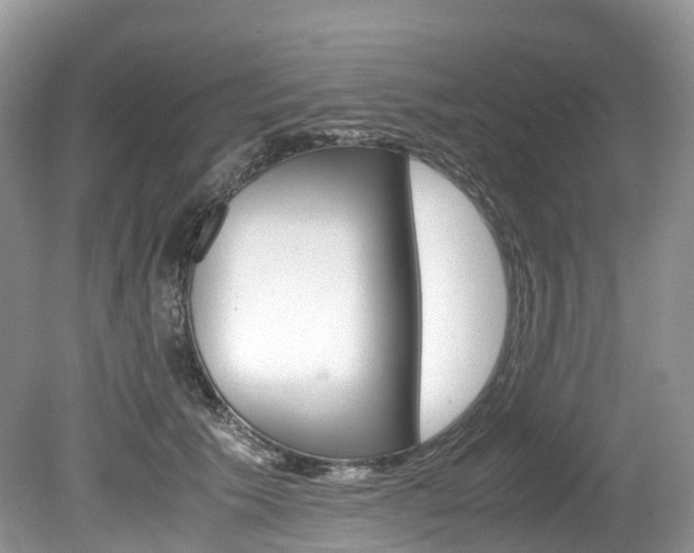 X0000080190609200612081202