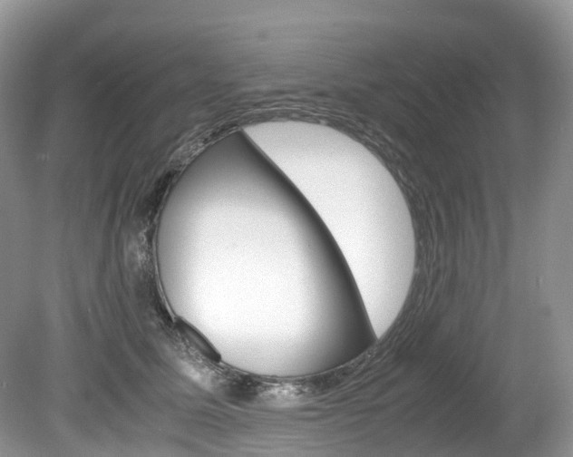X0000080190611200612081202