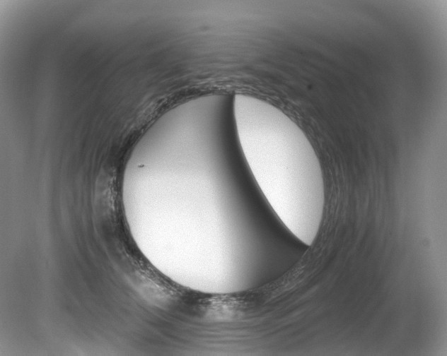 X0000080190612200612081202