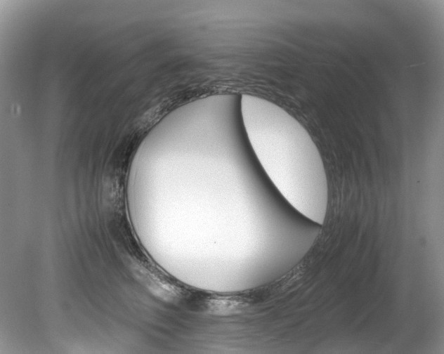 X0000080190614200612081202