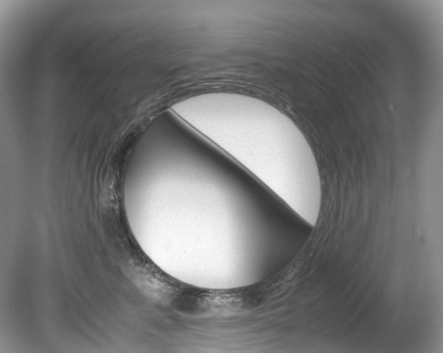 X0000080190619200612081201