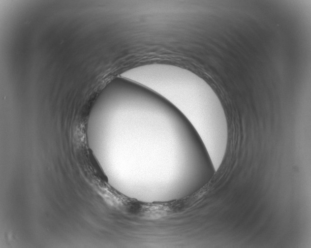 X0000080190621200612081201