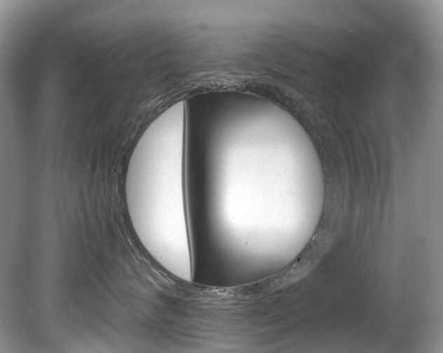 X0000080190624200612081201