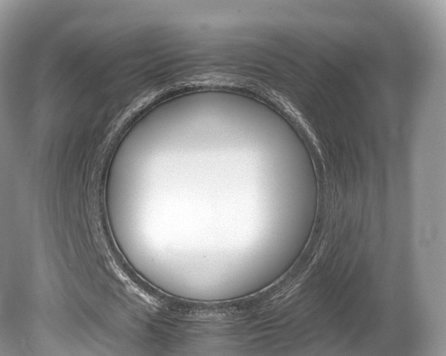 X0000080190625200612081201