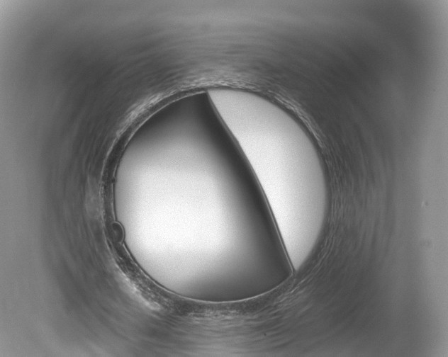 X0000080190626200612081201