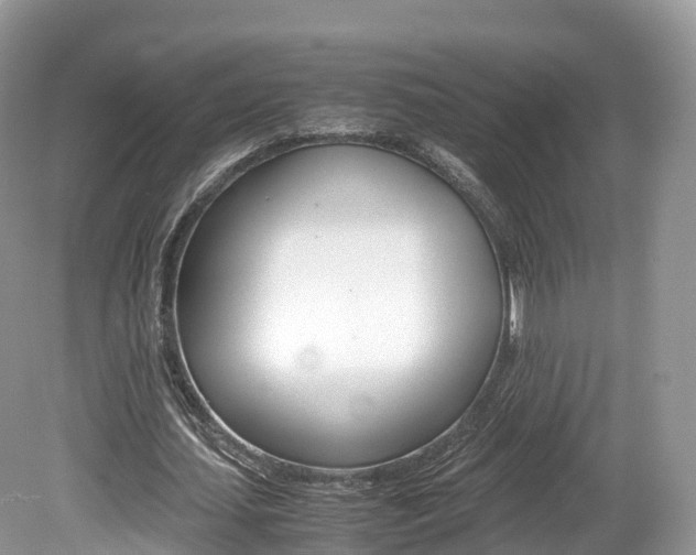 X0000080190627200612081201