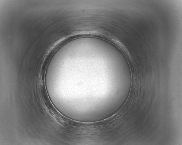X0000080190628200612081201