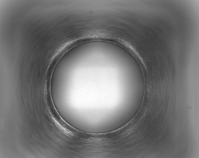 X0000080190629200612081201