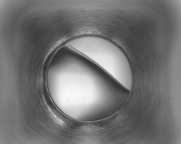 X0000080190630200612081201