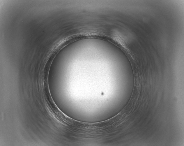 X0000080190631200612081201