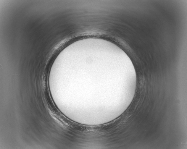 X0000080190632200612081201