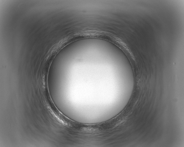 X0000080190633200612081201