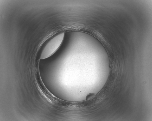 X0000080190634200612081201