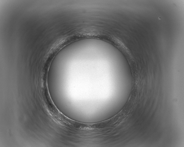 X0000080190635200612081201