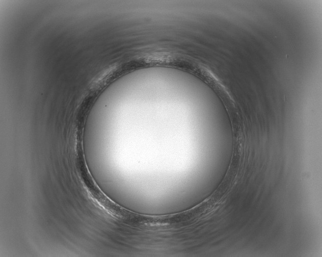 X0000080190637200612081201
