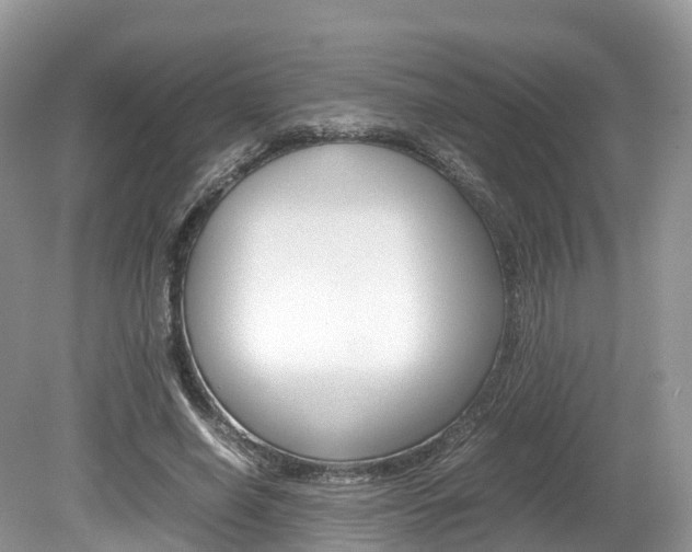 X0000080190638200612081201