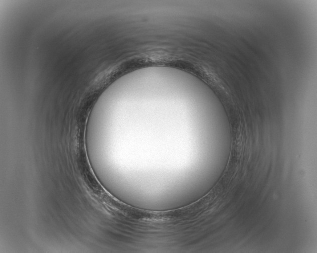 X0000080190639200612081201